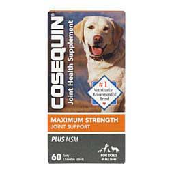 Cosequin Maximum Strength Plus MSM Nutramax Laboratories